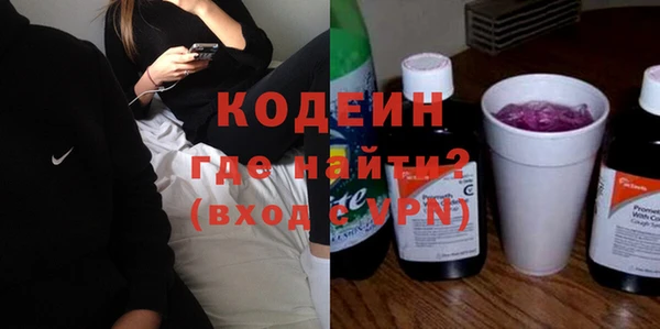 ГАЛЛЮЦИНОГЕННЫЕ ГРИБЫ Богданович