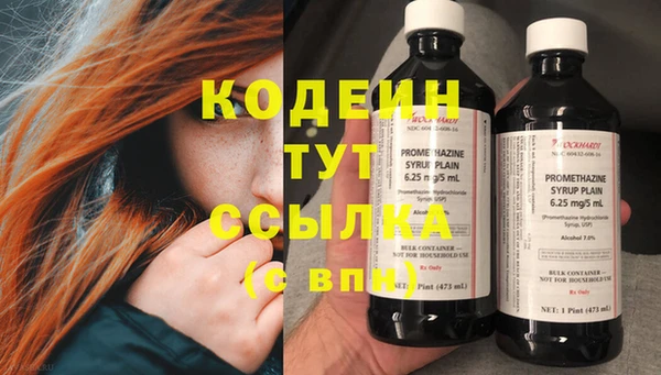 прущие грибы Богородицк