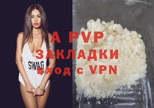 ГАЛЛЮЦИНОГЕННЫЕ ГРИБЫ Богданович