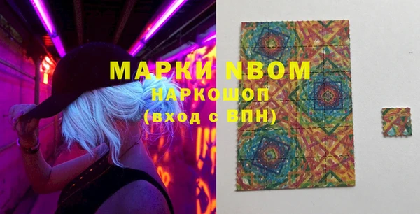 ГАЛЛЮЦИНОГЕННЫЕ ГРИБЫ Богданович