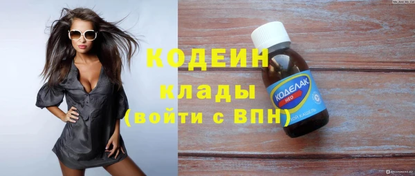 ГАЛЛЮЦИНОГЕННЫЕ ГРИБЫ Богданович