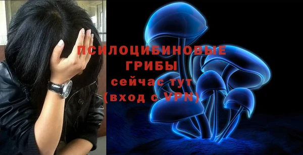 МДПВ Белоозёрский