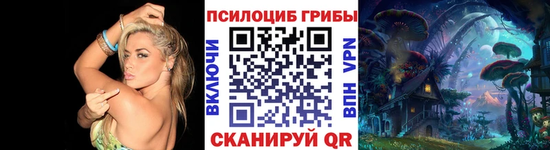 Псилоцибиновые грибы Magic Shrooms  Нерехта 